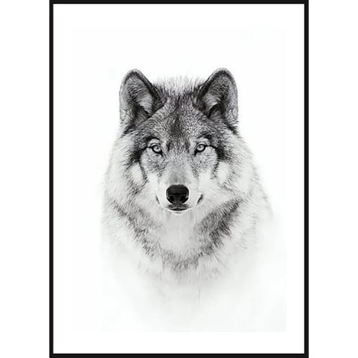 Poster Story, Plakat, Obraz - Wilk w Akwareli, wymiary 42 x 60 cm