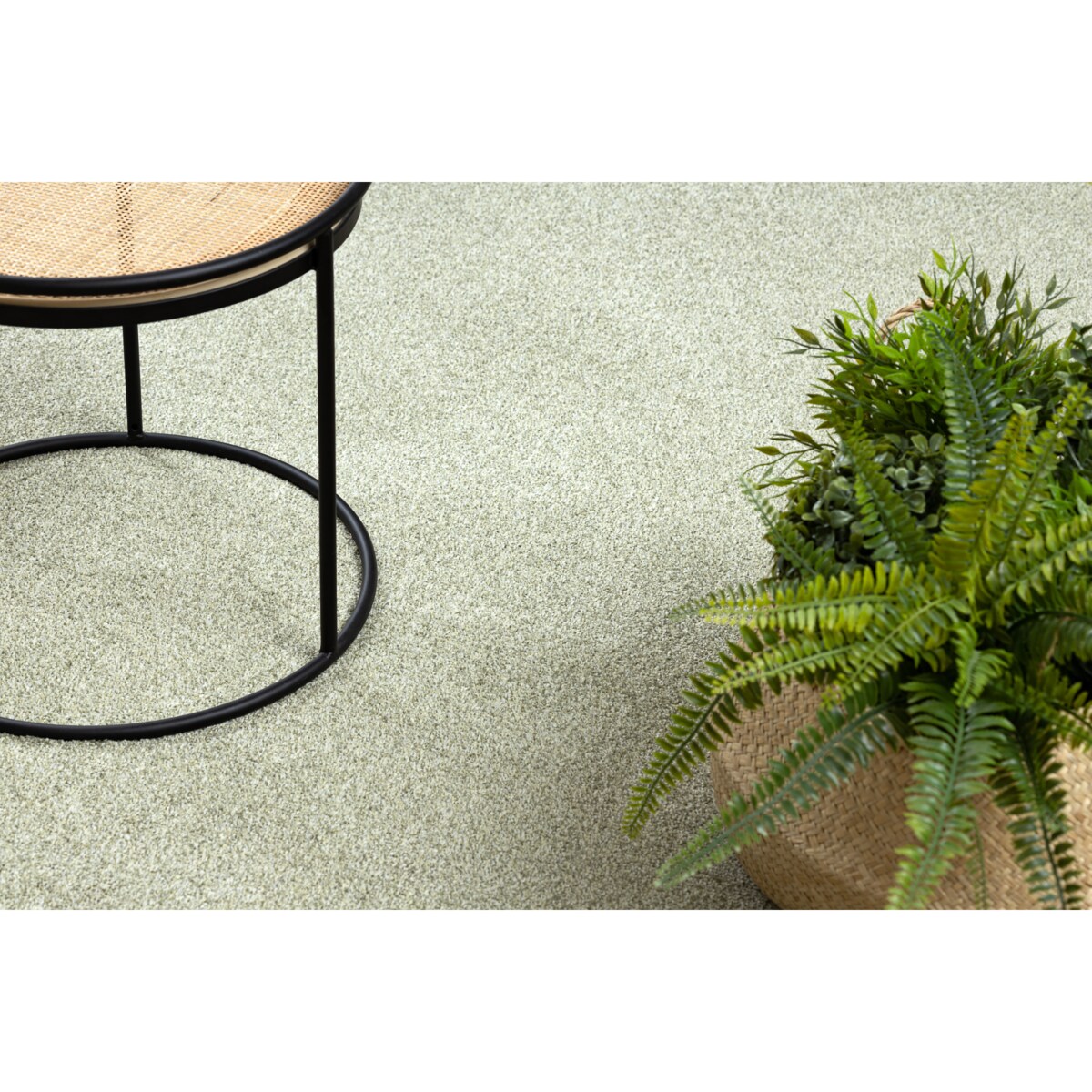 DYWAN koło EXCELLENCE oliwka 240 gładki, koło 100 cm