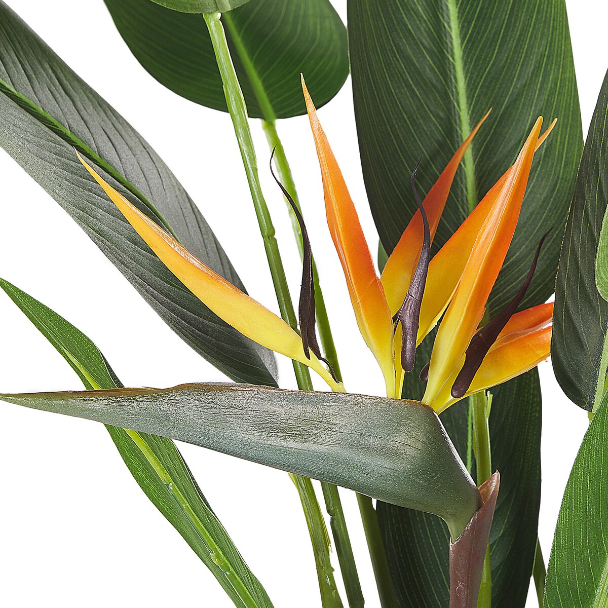 Sztuczna roślina STRELITZIA TREE 115 cm Zielony