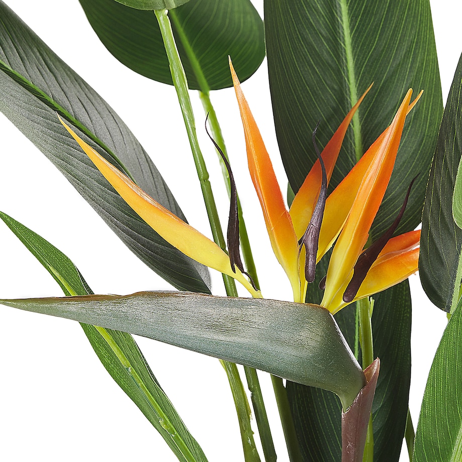 Sztuczna roślina STRELITZIA TREE 115 cm Zielony