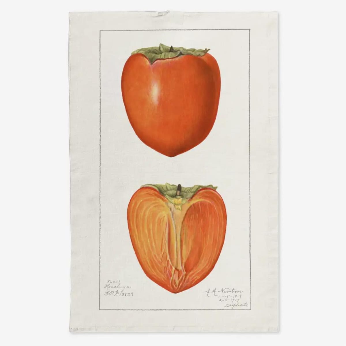 Lniany ręcznik kuchenny - persymona