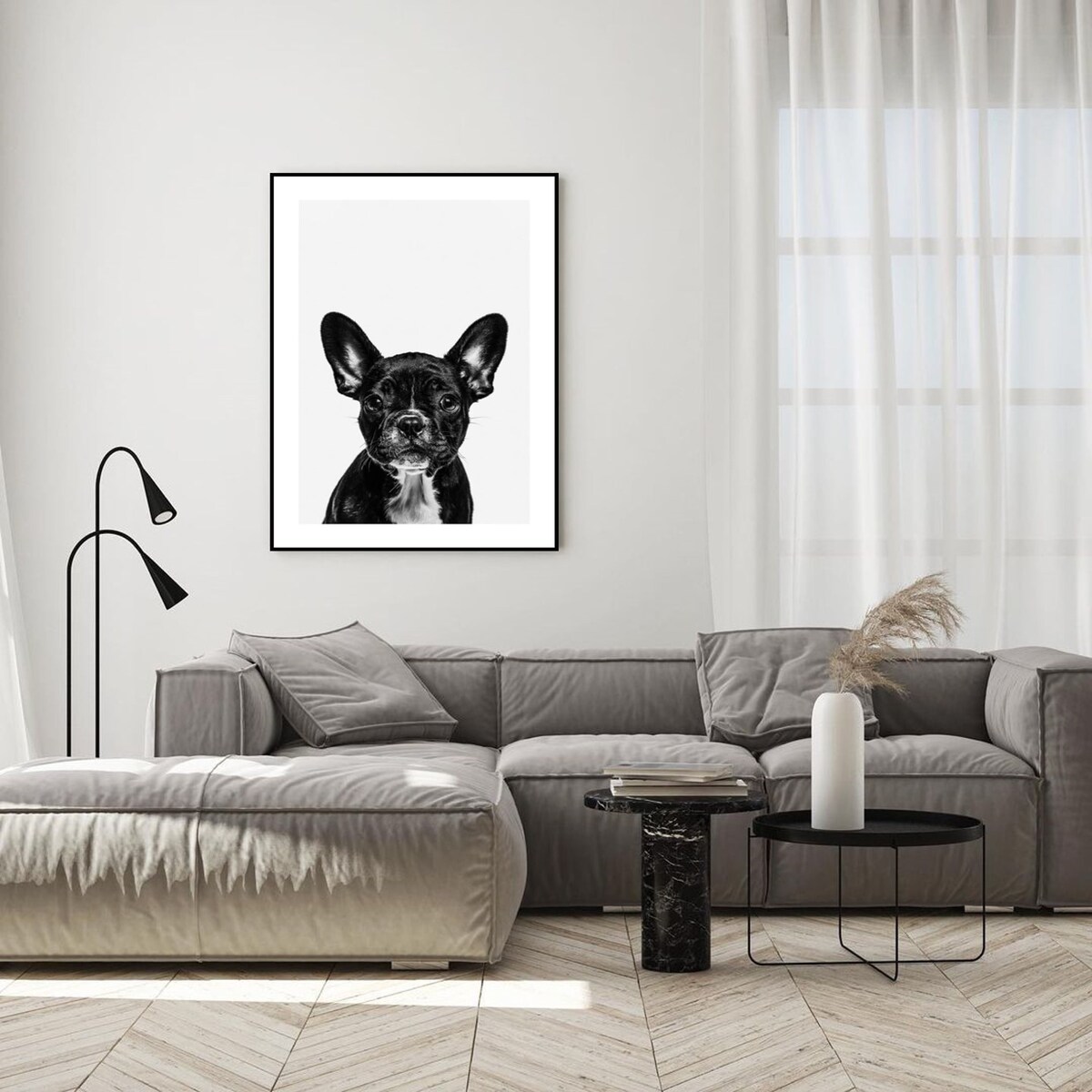 Poster Story, Plakat, Obraz - Czarny Buldog Francuski, wymiary 70 x 100 cm