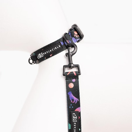 Obroża dla psa lub kota "Psychodelia" - Szerokość taśmy: 15mm, Rozmiar: XXS