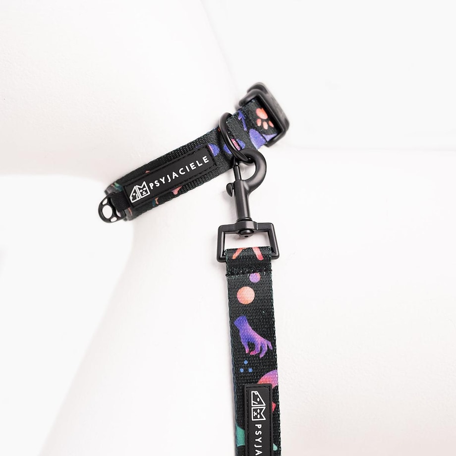 Obroża dla psa lub kota "Psychodelia" - Szerokość taśmy: 15mm, Rozmiar: XXS