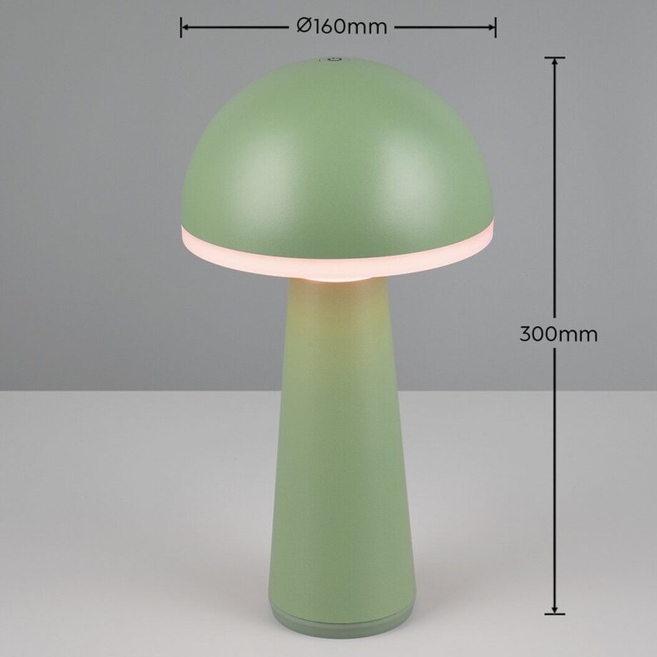 Stołowa lampka grzybek Fungo R57716149 RL Light IP54 LED 2W 3000-5000K zielony