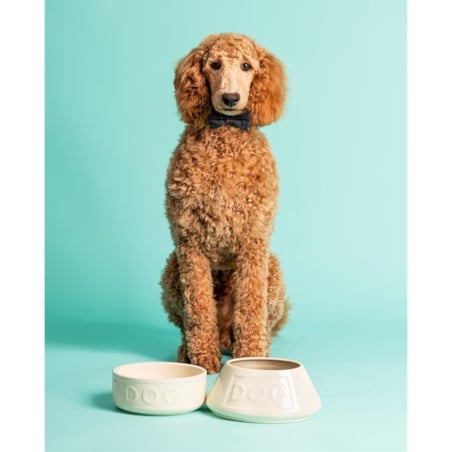 Miska dla psów długouchych szara, 21 x 8.5 cm, Mason Cash