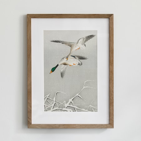 Plakat Kaczki W Locie 21x30cm