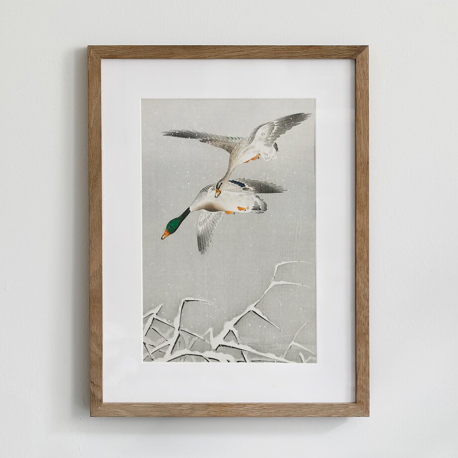 Plakat Kaczki W Locie 21x30cm