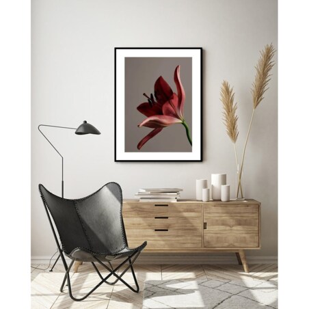 Poster Story, Plakat, Obraz - Czerwony Kwiat, wymiary 21 x 30 cm