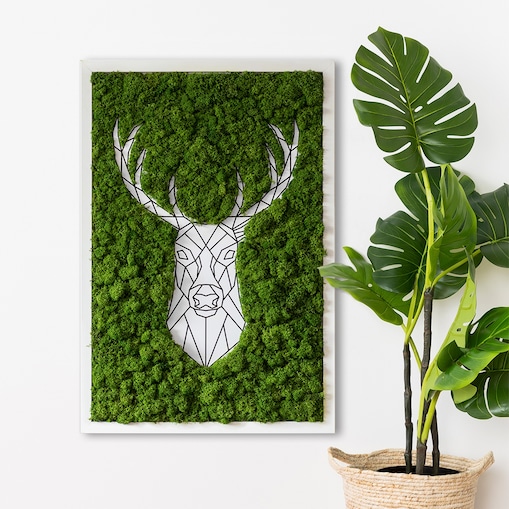 Obraz Geometryczny jeleń - mech chrobotek w białej ramie 40x60cm