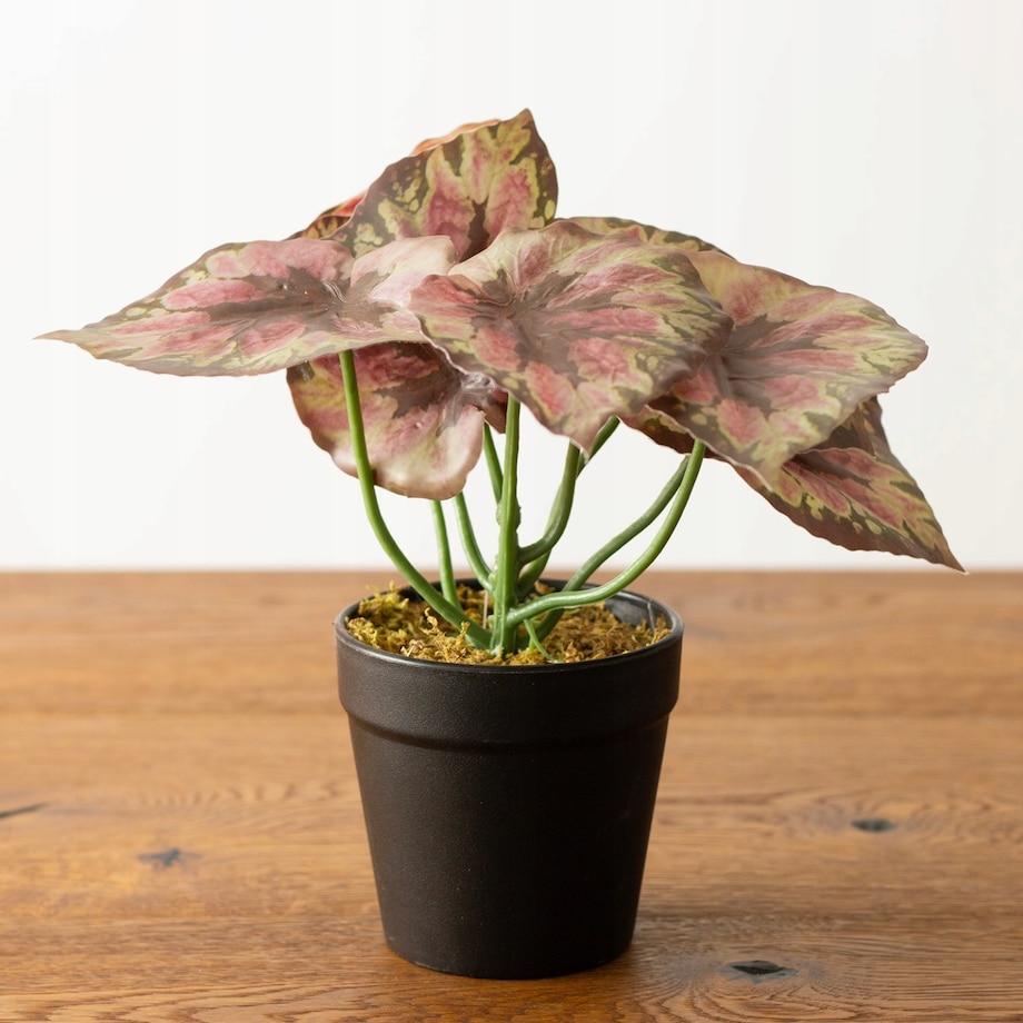 Sztuczna Begonia Etna 22 cm