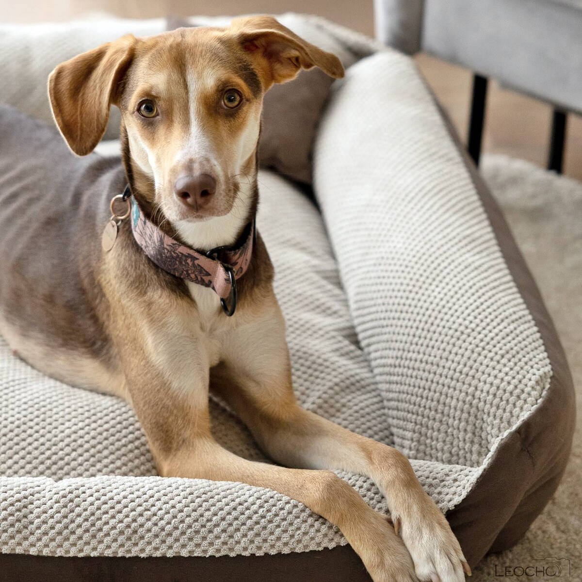 Przytulne legowisko dla psa TEO, 120x100 cm, Brąz/Beż