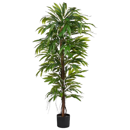 Sztuczna roślina LONGIFOLIA 155 cm Zielony