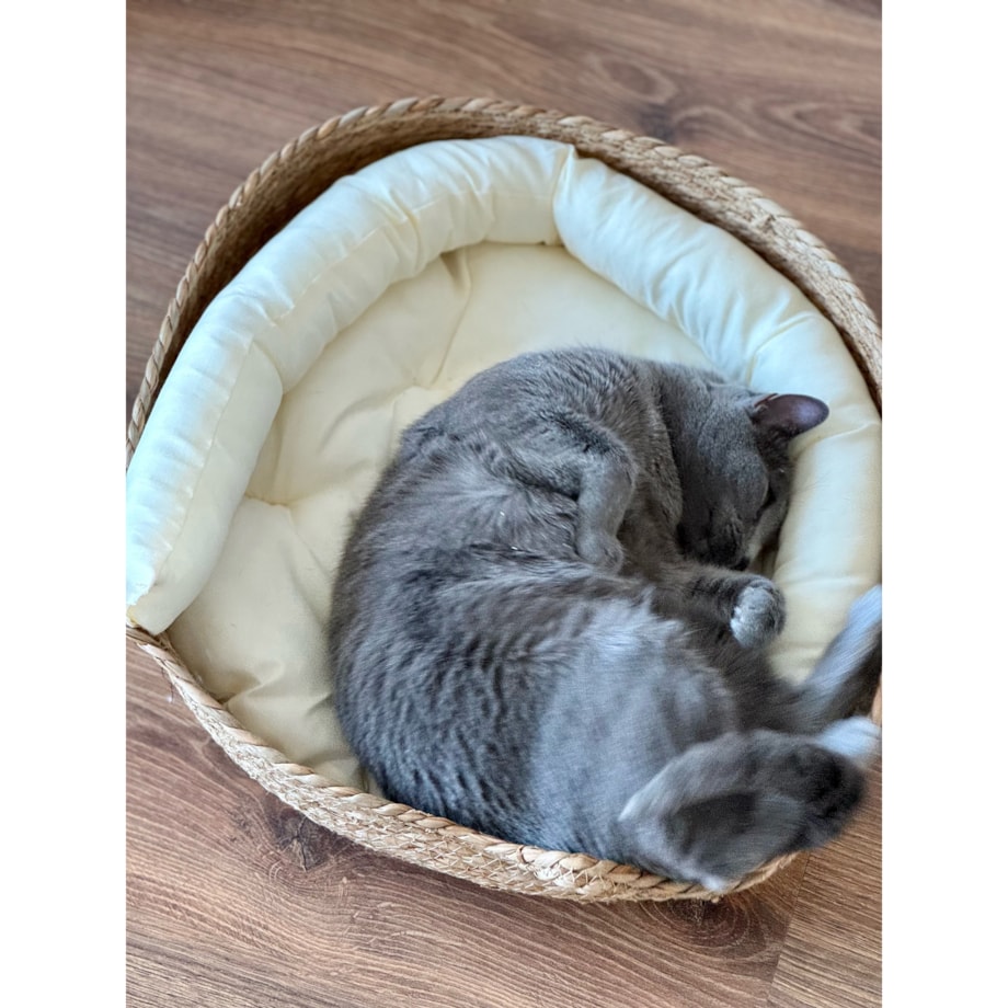 Miękkie Legowisko dla zwierząt w wiklinowym koszyku poduszka pies kot
