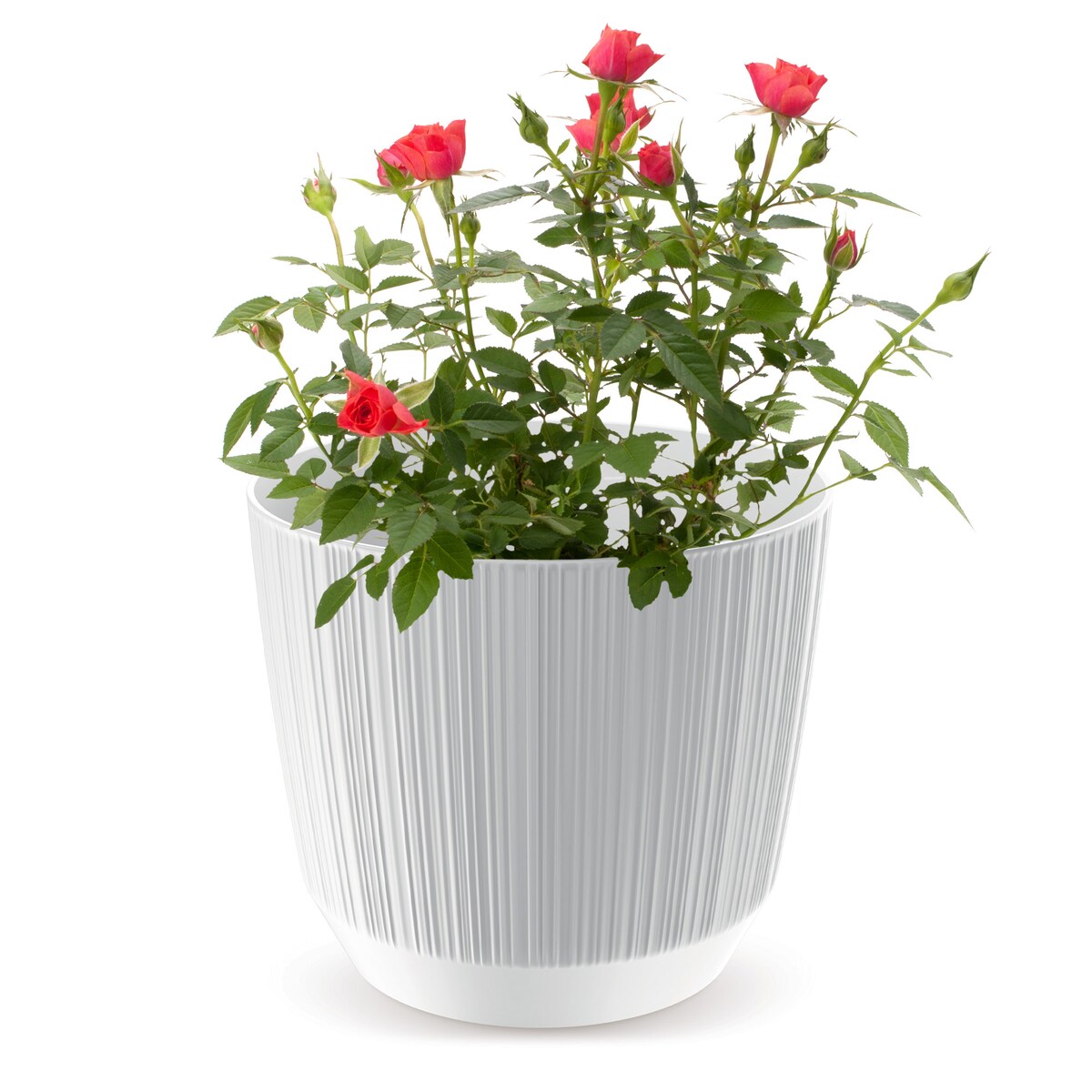 Doniczka Osłonka Domowa 16,8 Cm Ryfo Na Stół Parapet Do Domu Biała