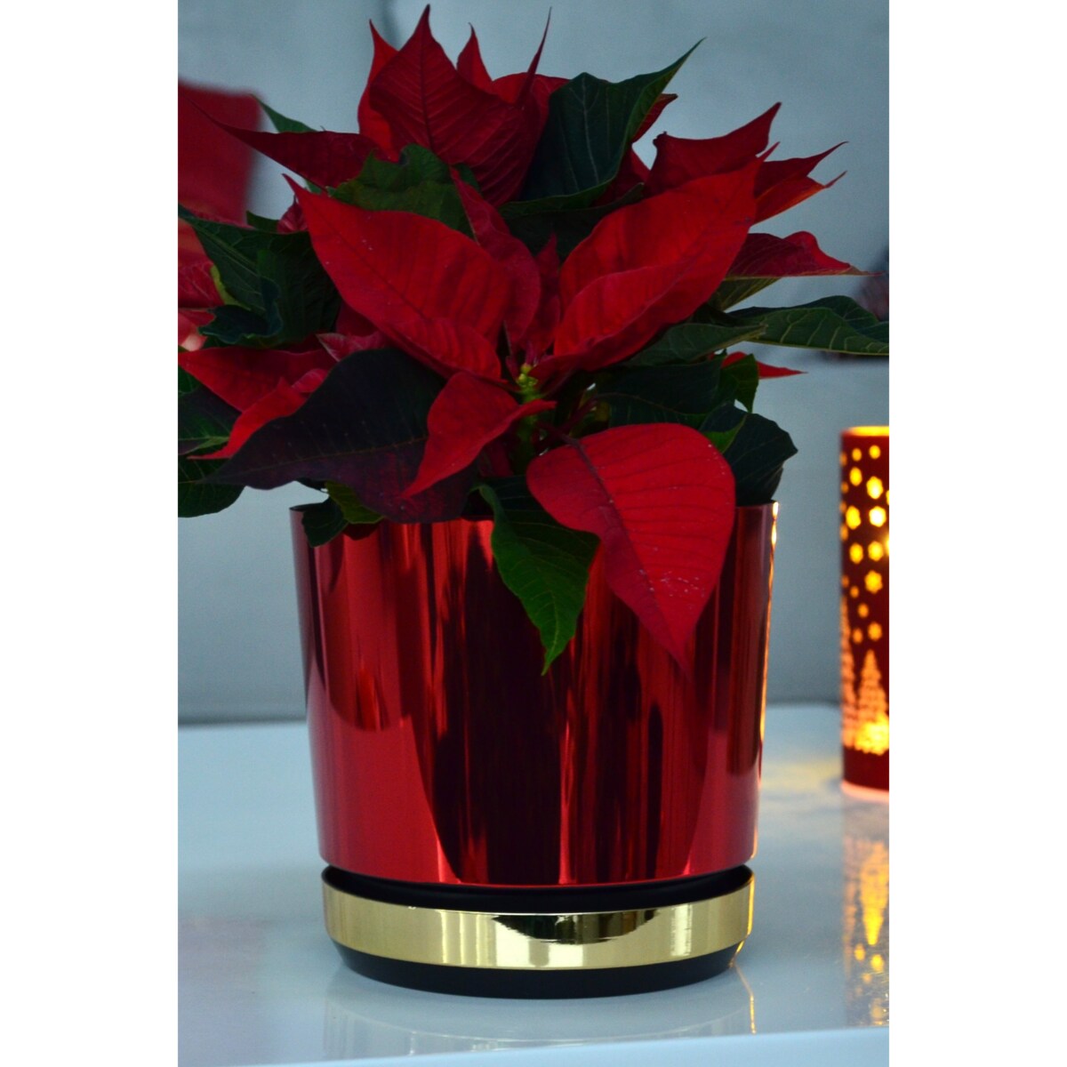 12 cm Doniczka z podstawką Czerwona + Złoty błyszczący wysoki połysk świąteczna do POINSECJI Gwiazdy Betlejemskiej dekoracja do stroików z drenażem wzór DUO/083/011