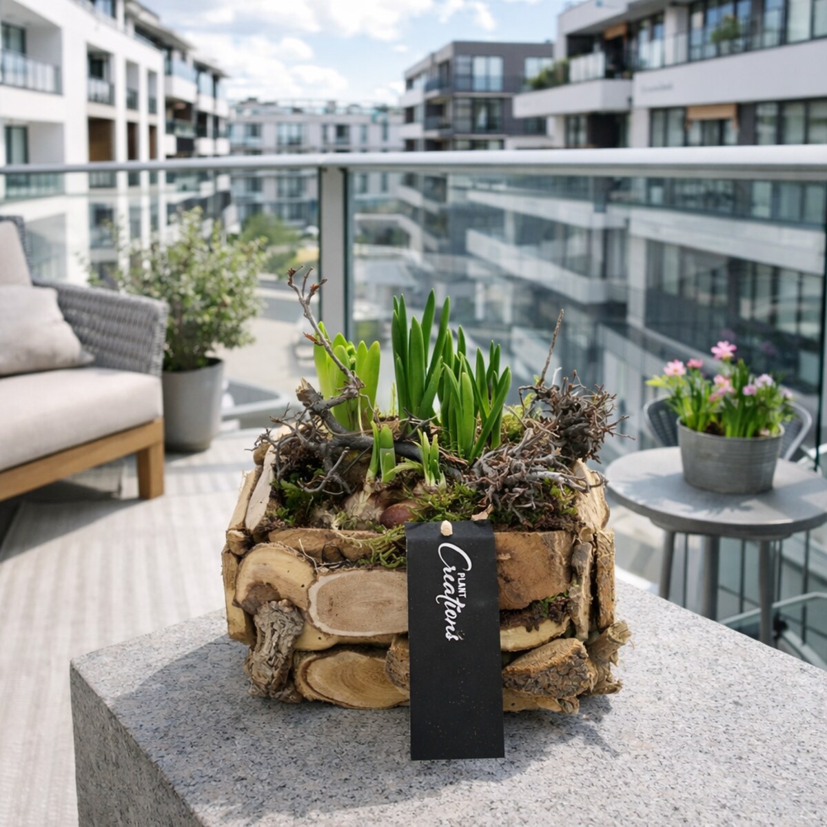 Kompozycja cebulowa z narcyzów, hyiacyntów i muscari Ø20cm wysokość 20-40cm