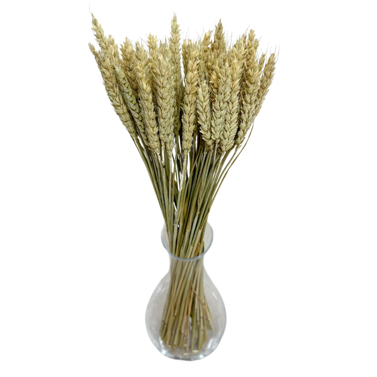 Suszona Pszenica Naturalna