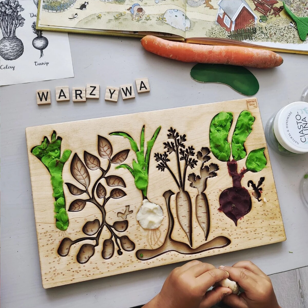 Panel sensoryczny Warzywa