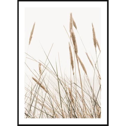 Poster Story, Plakat, Obraz - Kołyszące Trzciny, wymiary 21 x 30 cm