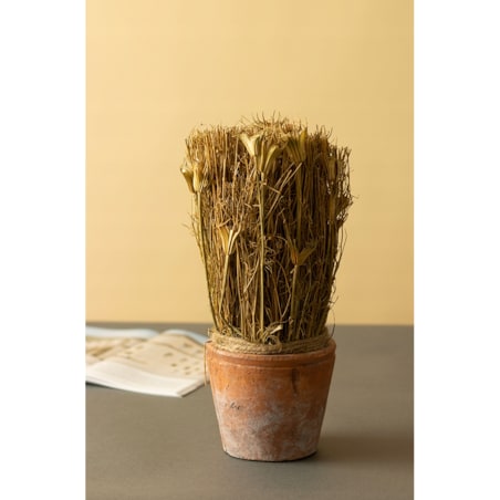 SUSZONA ROŚLINA w doniczce z terakoty wys. 27cm