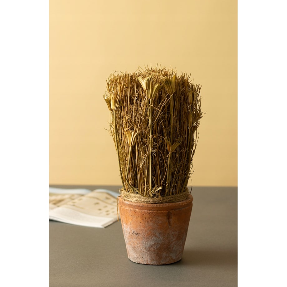 SUSZONA ROŚLINA w doniczce z terakoty wys. 27cm