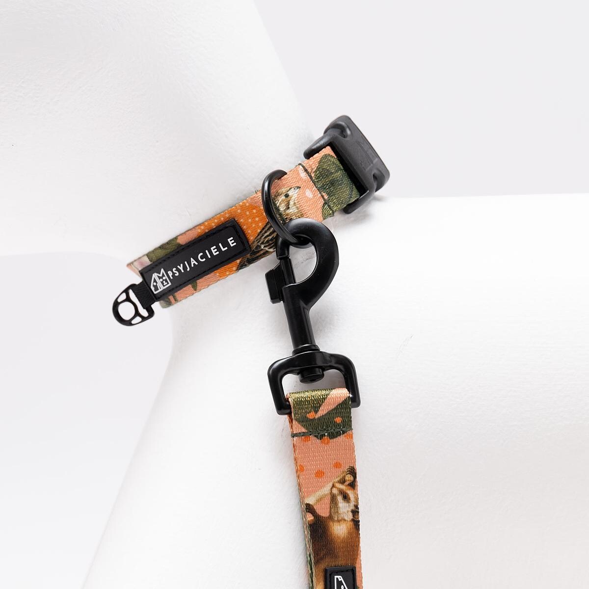 Obroża dla psa lub kota "Wie wiórka co dobre" - Szerokość taśmy: 20mm, Rozmiar: XS