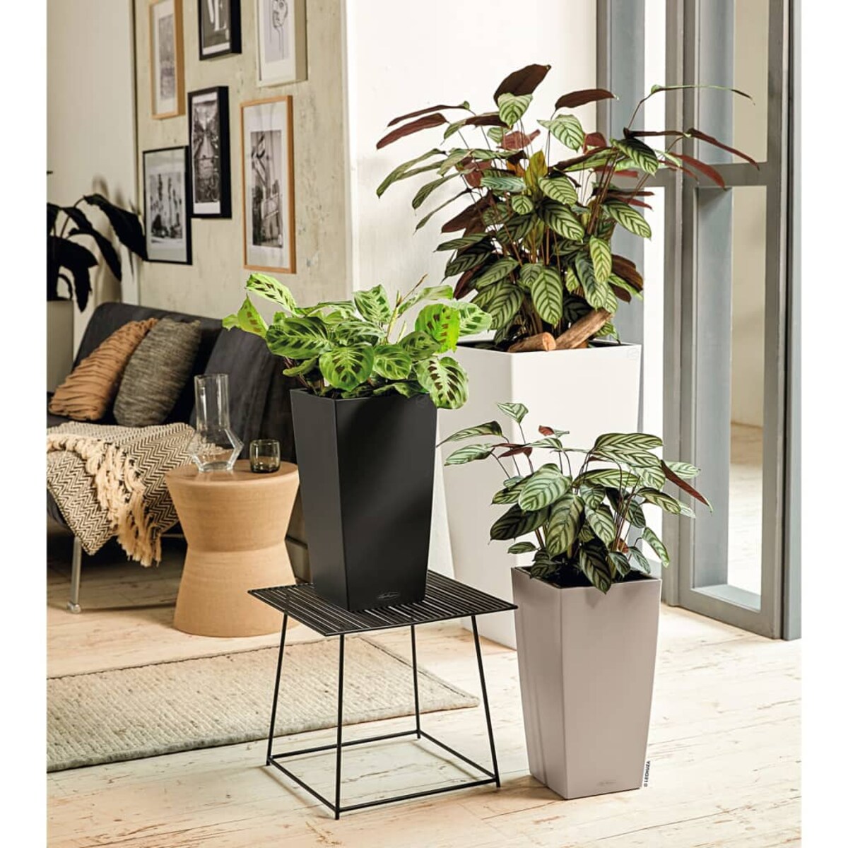 LECHUZA Donica Cubico Color 40 ALL-IN-ONE, szary łupkowy, 13158