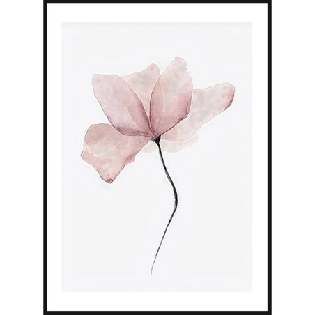 Poster Story, Plakat, Obraz - Różowa Magnolia, wymiary 42 x 60 cm