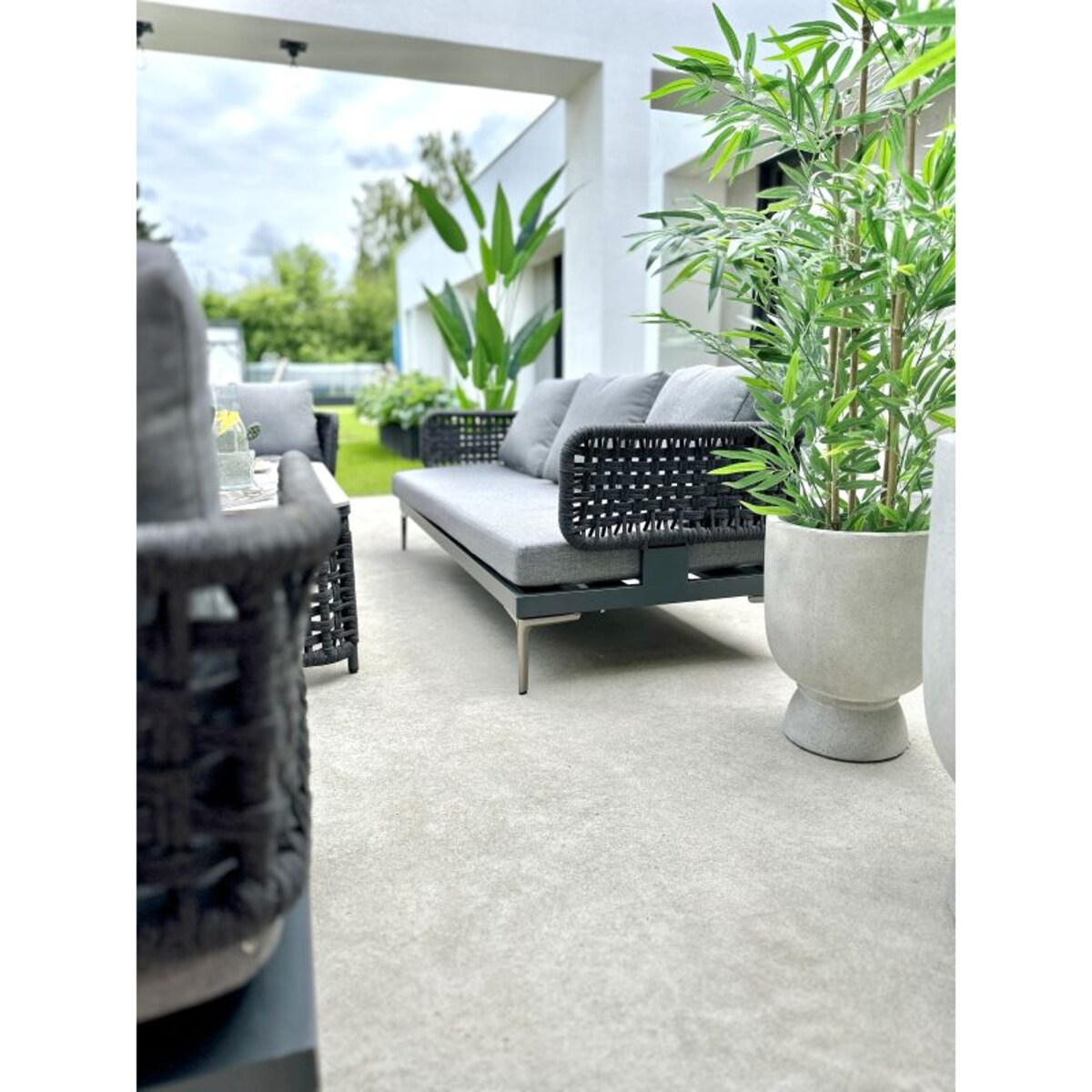 DRZEWKO BAMBUSOWE 150 cm