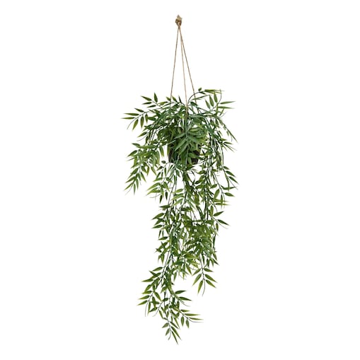 Bambus wiszący w doniczce LIORA, 67 cm
