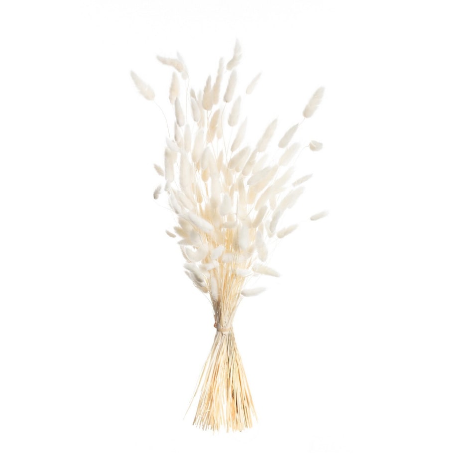 Bukiet Dmuszka 60cm cream, 5 x 5 x 60 cm