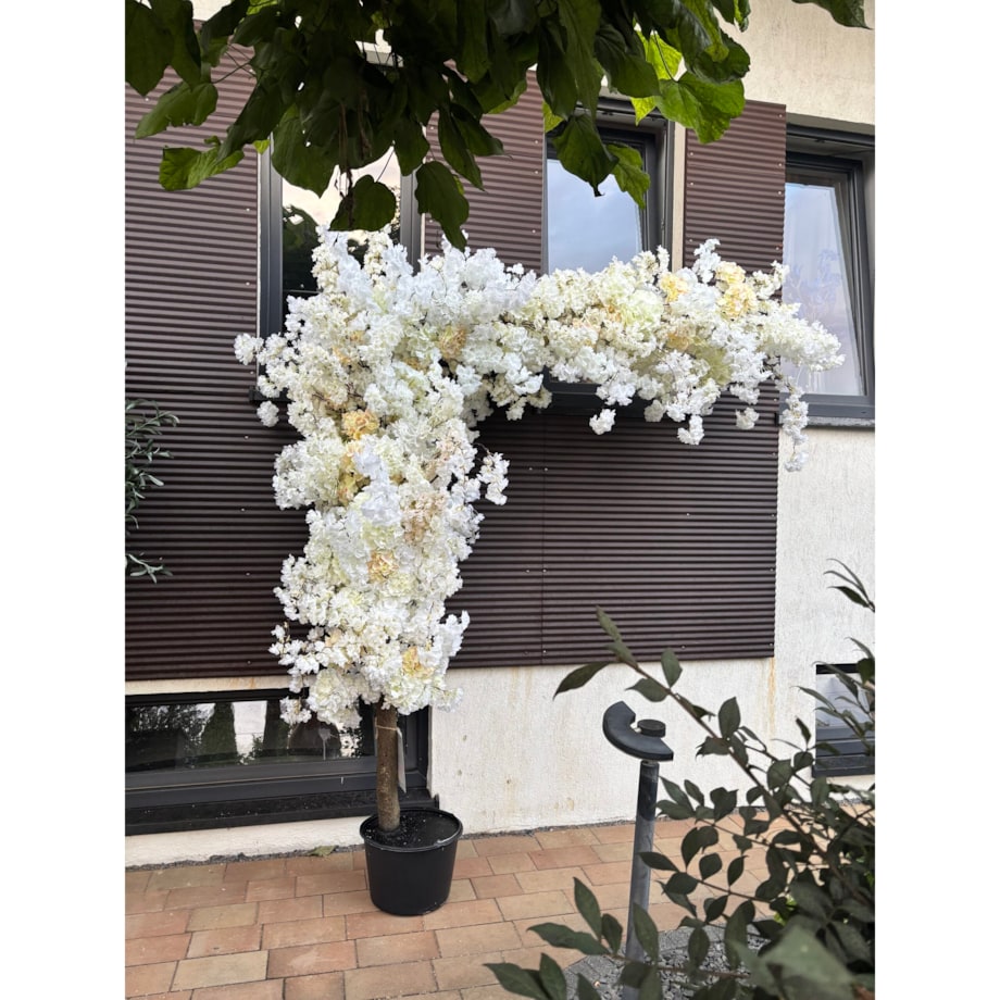 Drzewo kwitnącej wiśni kremowo-biała boczna na naturalnym pniu 220 cm