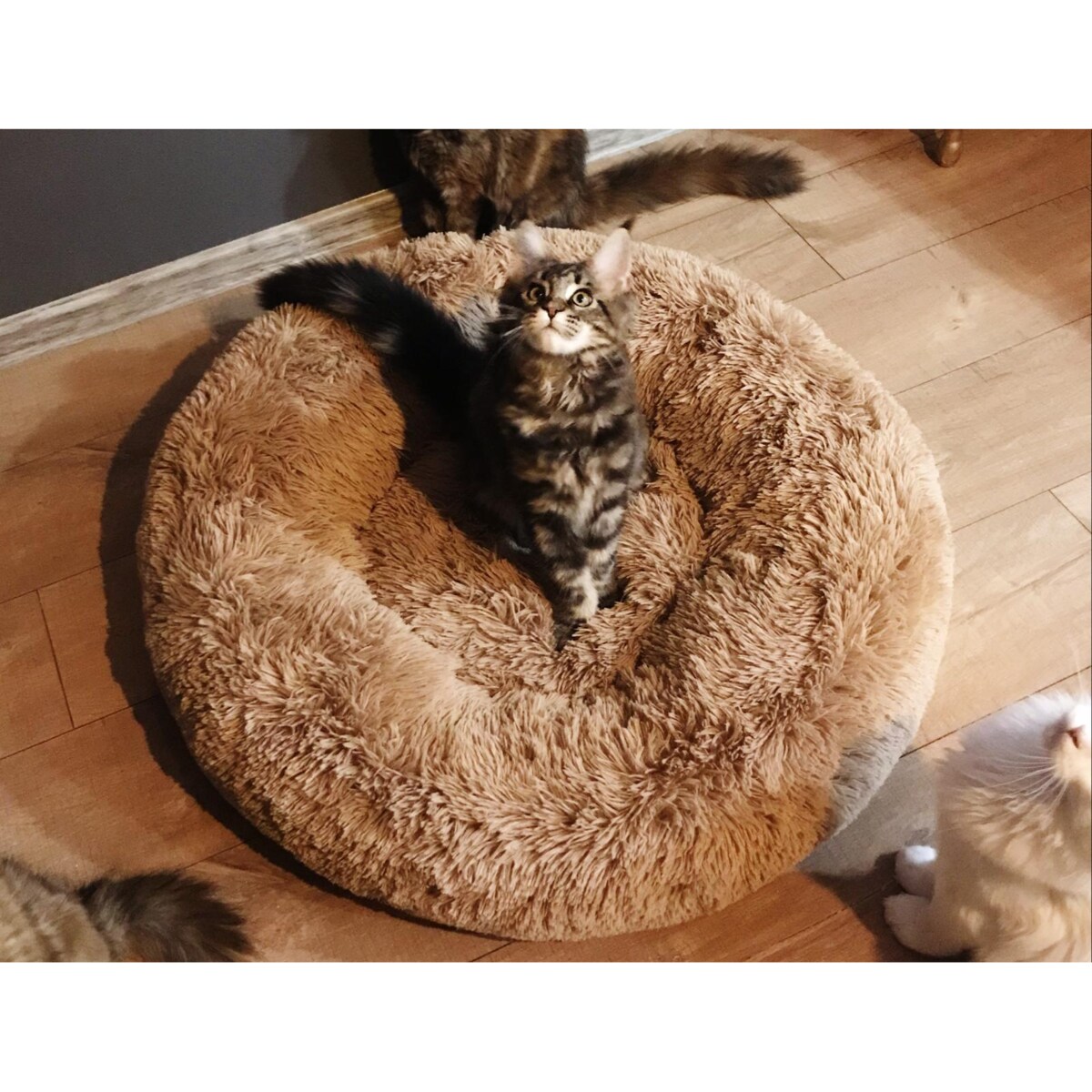 Legowisko pluszowe dla kota lub psa FUZZY, 70 cm, Toffee