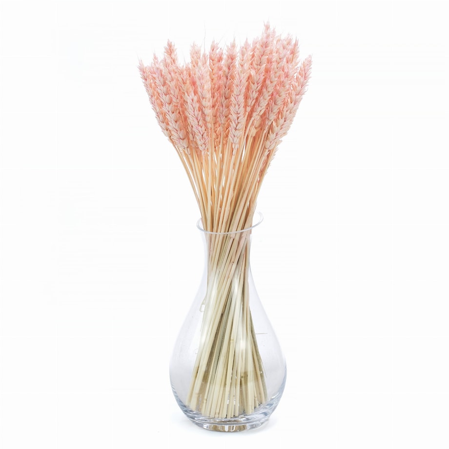 Suszona Pszenica Jasnoróżowa