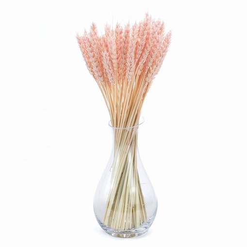 Suszona Pszenica Jasnoróżowa