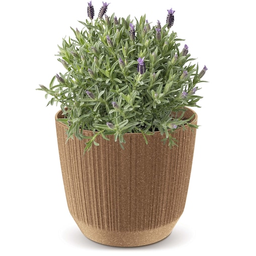 Doniczka Osłonka Domowa 12,6 Cm Ryfo Na Stół Parapet Do Domu Brązowa