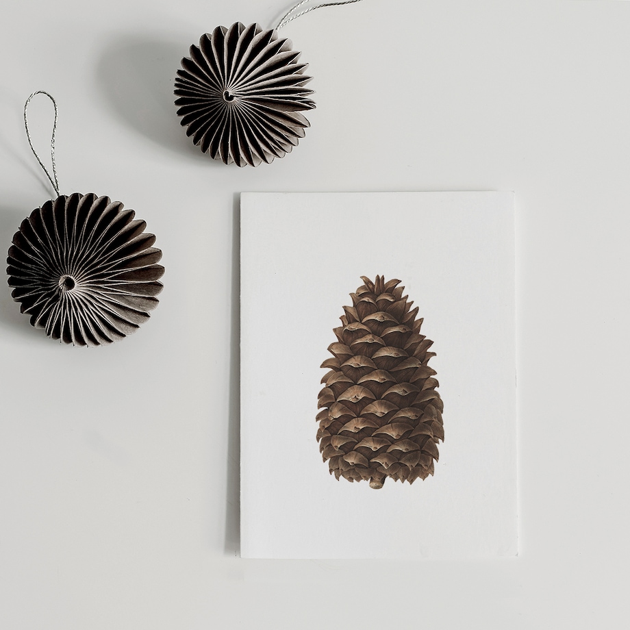 Plakat Szyszka 30x40cm