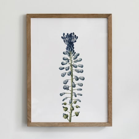 Zestaw 6 Ilustracji 30x40cm