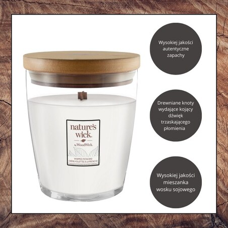 Natures Wick świeca średnia WHIPPED PISTACHIO