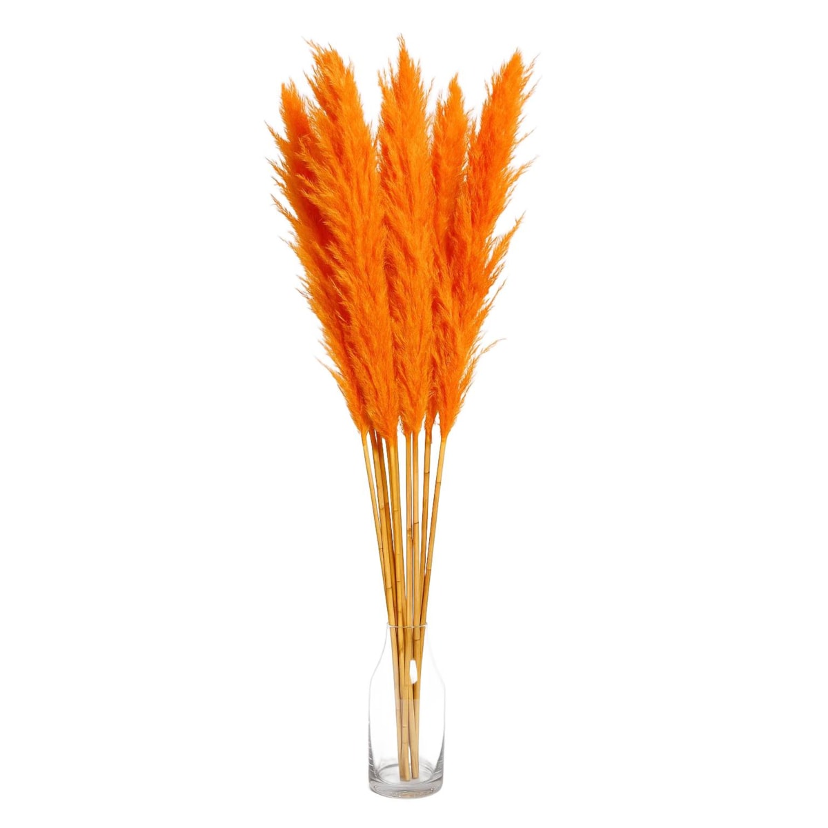 Zestaw 5 sztuk pomarańczowych stabilizowanych Traw Pampasowych| Wysokość 160 cm