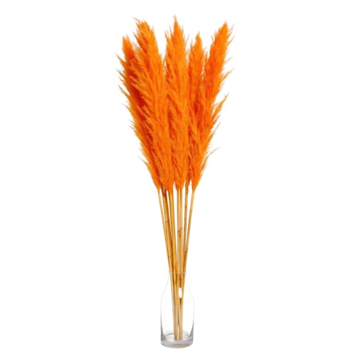 Zestaw 5 sztuk pomarańczowych stabilizowanych Traw Pampasowych| Wysokość 160 cm