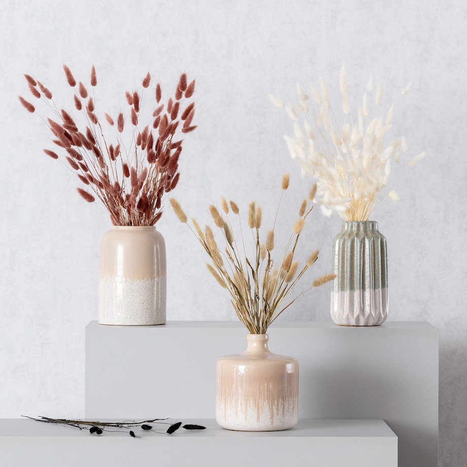 Bukiet Dmuszka 60cm beige, 5 x 5 x 60 cm