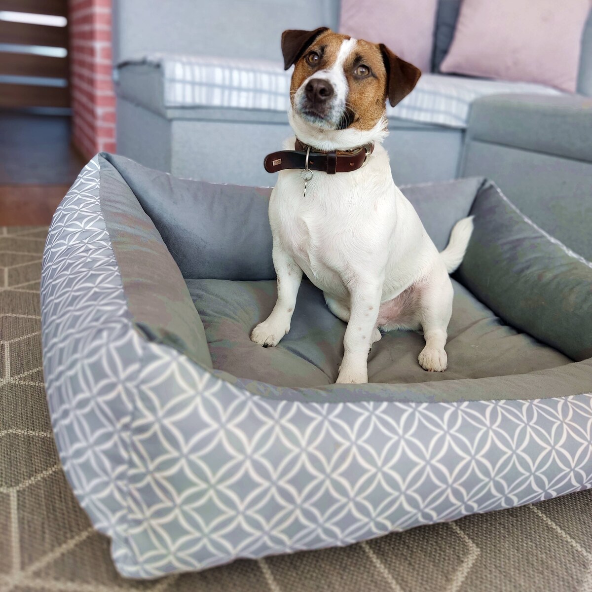 Stylowe legowisko dla kota OTTO, 60x40 cm, Szary