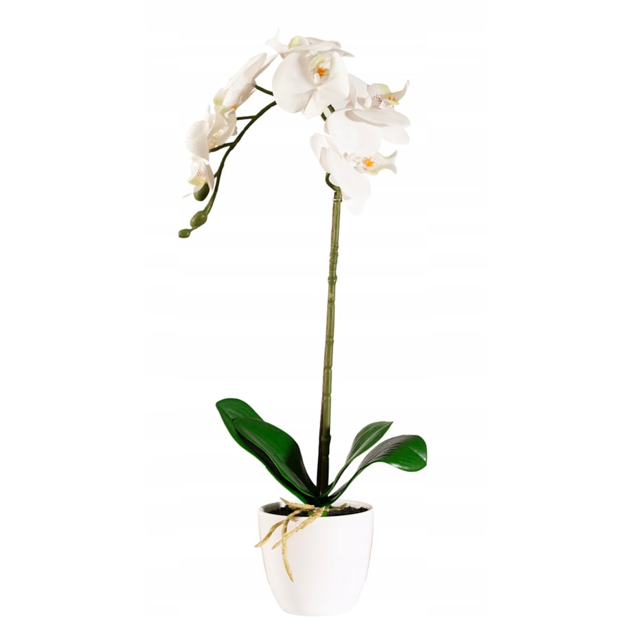 SZTUCZNA ORCHIDEA STORCZYK BIAŁY JAK ŻYWY SILIKONOWY REALISTYCZNA DEKORACJA