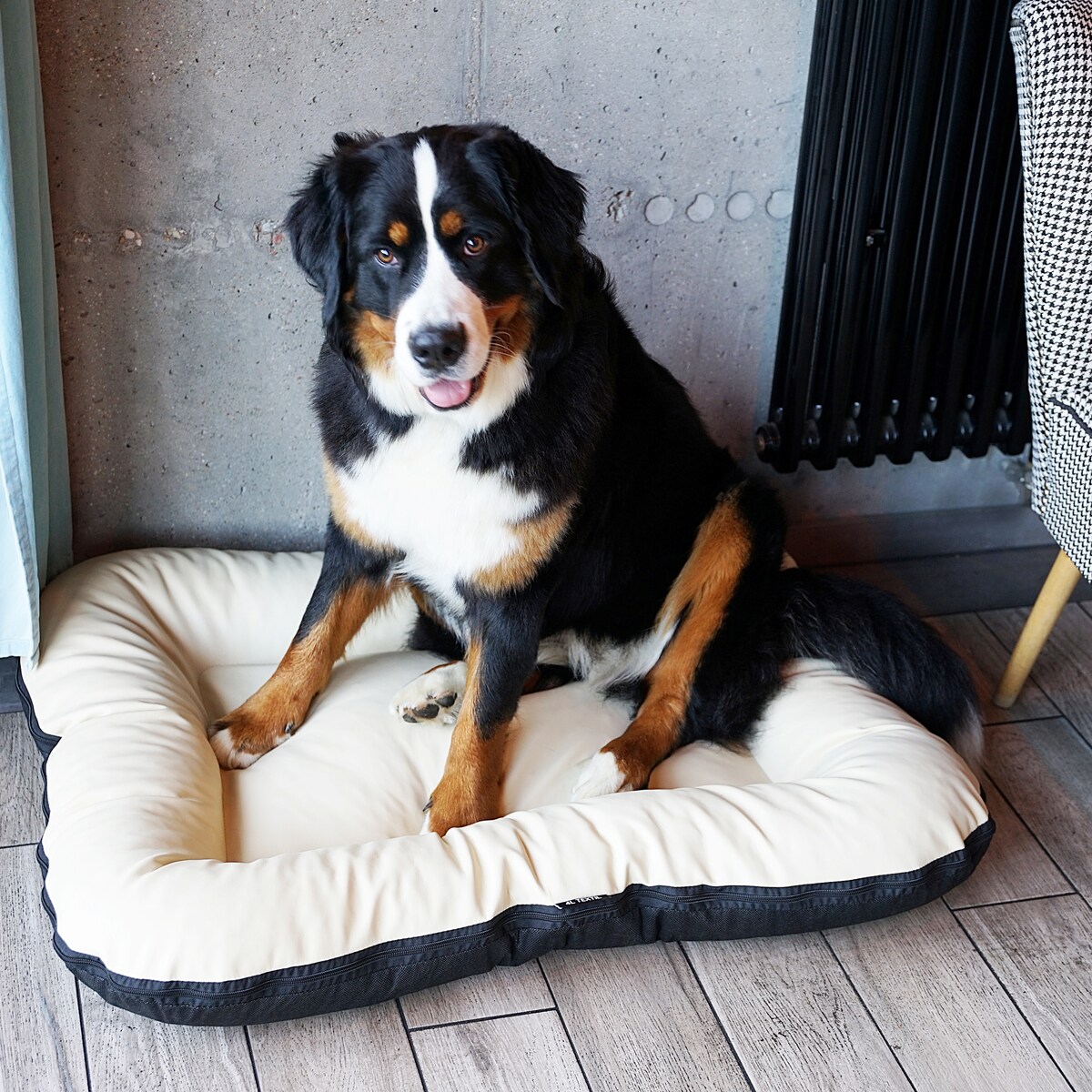 Legowisko Ponton dla psa z eko skóry ELLA, 90x70 cm, Cappuccino