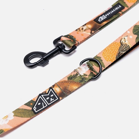 Smycz miejska dla psa lub kota "Wie wiórka co dobre" - Szerokość taśmy: 20mm, Rozmiar: M oraz Rodzaj: Mały karabinek