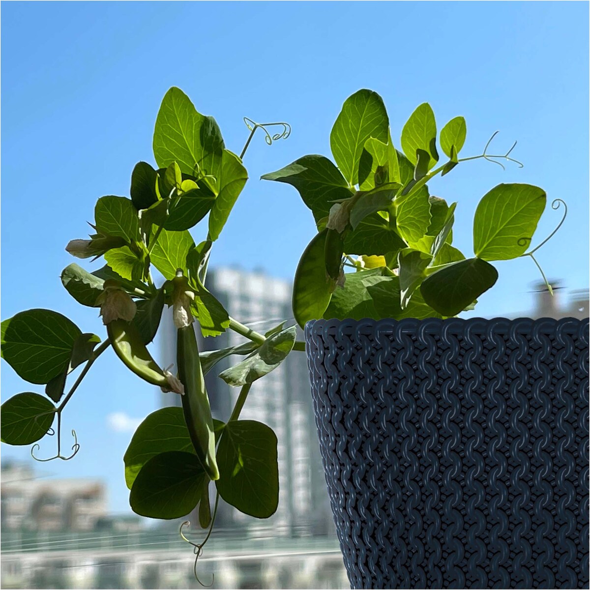 Doniczka Ogrodowa Skrzynka 29,7 Cm Donica Dekoracyjna Do Domu Antracytowa