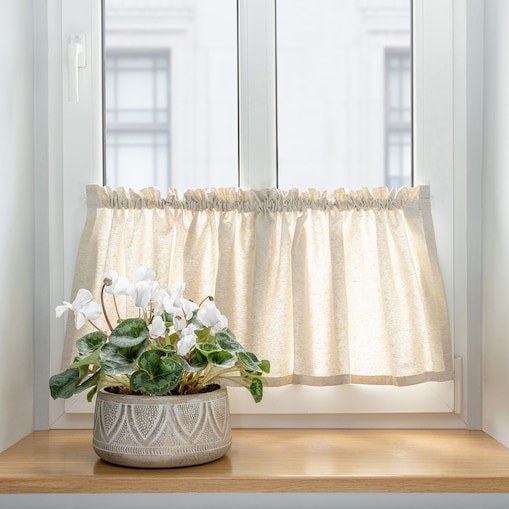 Zazdrostka prosta na metry 390x0 ecru liście akantu