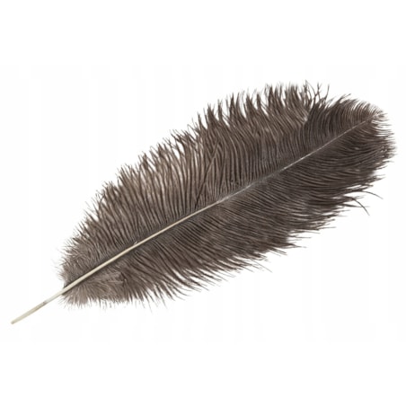 PIÓRO STRUSIE dekoracyjne NATURALNY SZARY 45cm